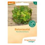 Saatgut Salat Batavia Maravilla de Verano