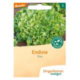 Saatgut Salat Endivie Diva
