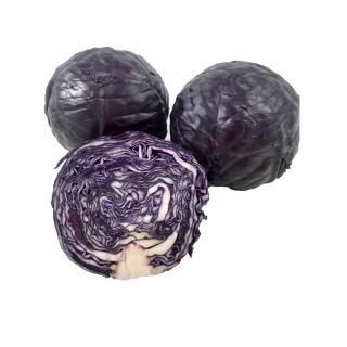 Kraut Blaukraut neue Ernte