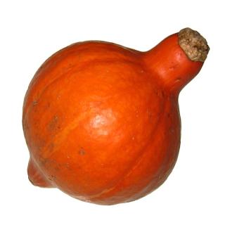 Kürbis " Hokkaido " (grün innen orange)