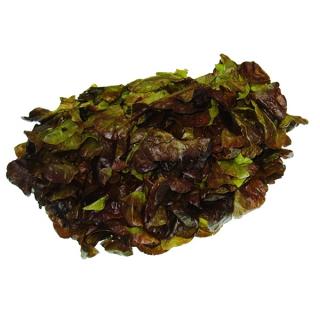 Salat " Romana "