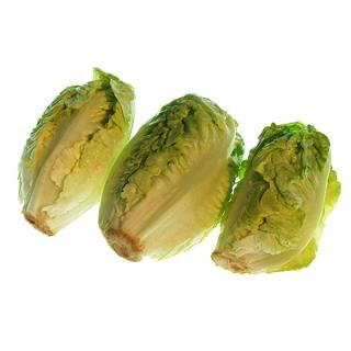 Salat Römersalat mini (2 Stück)