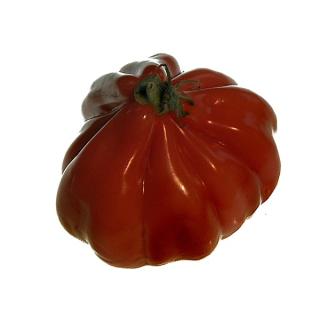 Tomate rund