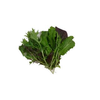 Salat Asia 120 g -regio -