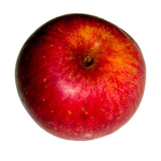 Apfel  Pinova