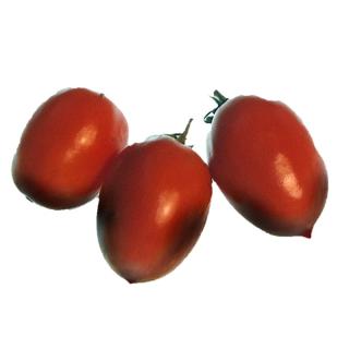 Tomate " Strauchtomate "