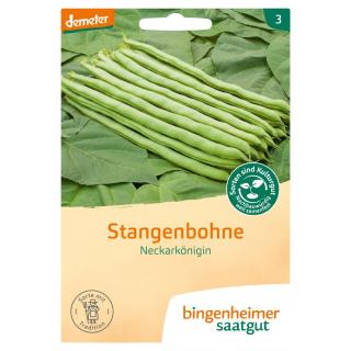 Saatgut Bohnen Stangenbohne Neckarkönigin