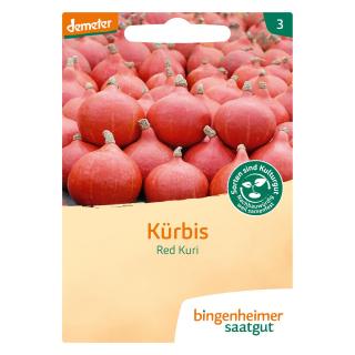 Saatgut Kürbis Hokkaido rot Red Kuri