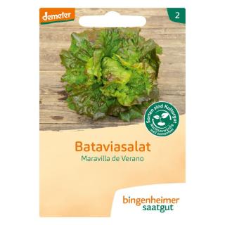 Saatgut Salat Batavia Maravilla de Verano