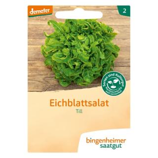 Saatgut Salat Eichblattsalat Till