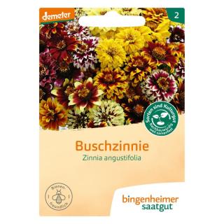 Saatgut Zinnie Sommer in Orange