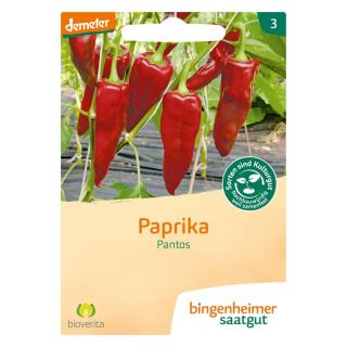 Saatgut Paprika Pantos