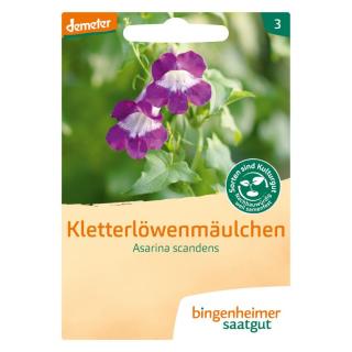 Saatgut Kletterlöwenmäulchen