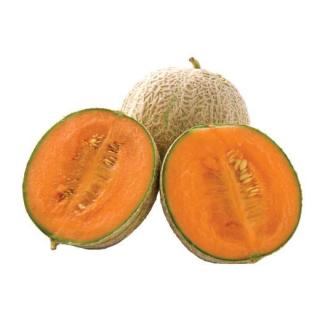 Melone Netzmelone
